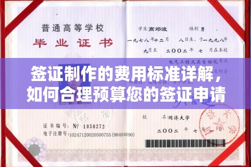 沛县签证制作的费用标准详解，如何合理预算您的签证申请成本